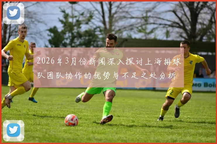 2026年3月份新闻深入探讨上海排球队团队协作的优势与不足之处分析